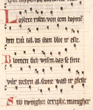 Zahlen und Noten